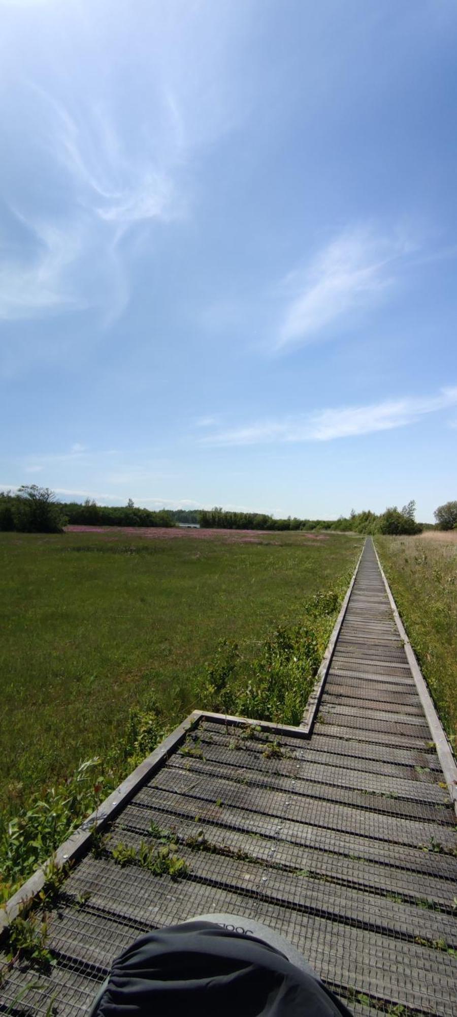 Mobilheim Herz Lauwersoog - Chalet Robbengat Екстериор снимка