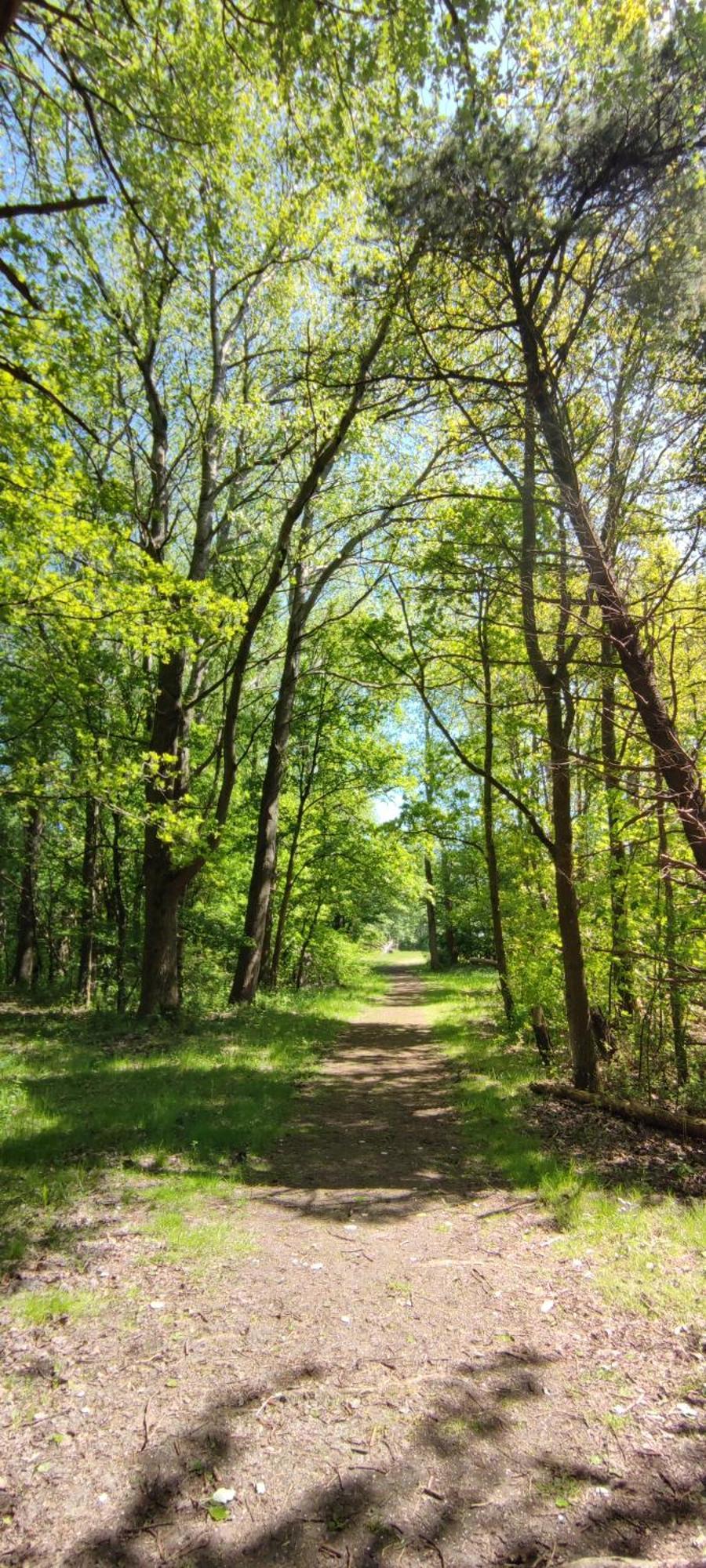 Mobilheim Herz Lauwersoog - Chalet Robbengat Екстериор снимка